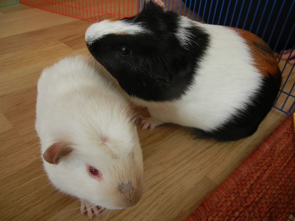 DSCN1317.jpg