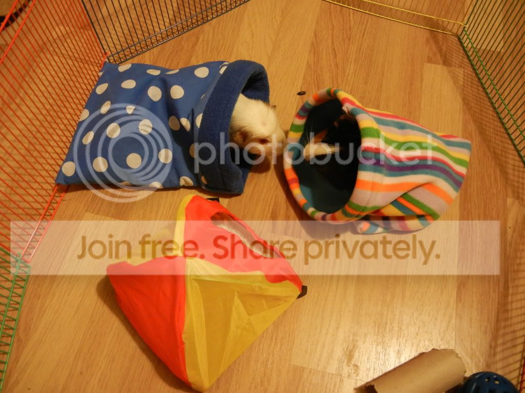 DSCN1365.jpg