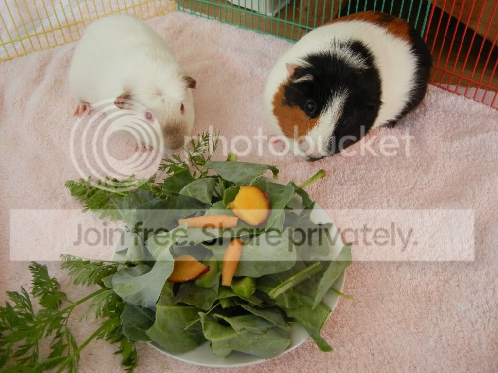 DSCN1439.jpg
