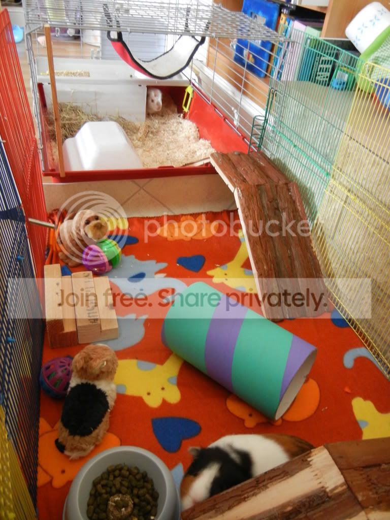 DSCN1498.jpg